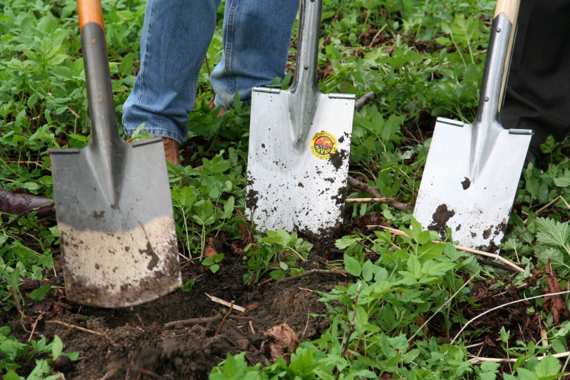 pepiniere-MOISSAC BELLEVUE-min_work-lawn-flower-tool-green-backyard-1103633-pxhere.com